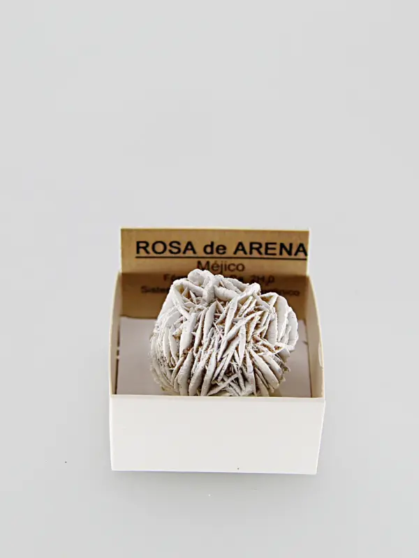 Rosa do Deserto