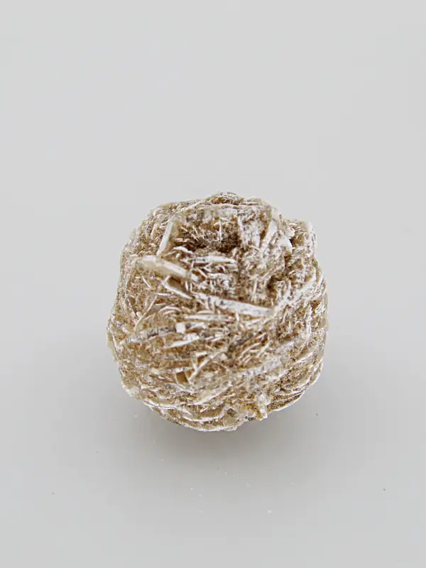 Rosa do Deserto
